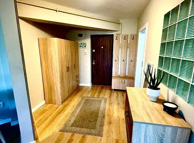 Mio Silver Kolozsvár